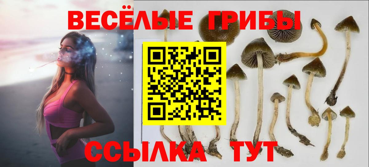 Псилоцибиновые грибы Magic Shrooms  Вход с VPN  Псилоцибиновые грибы GOLDEN TEACHER  Родники 